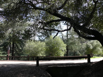 Franklin Canyon Park -Beverly Hills