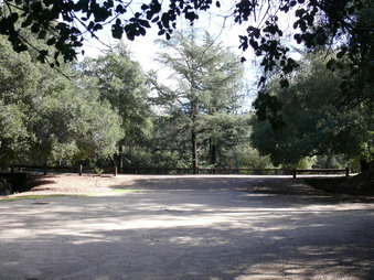 Enlarge photo 44