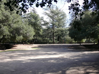 Enlarge photo 45