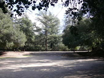 Enlarge photo 46