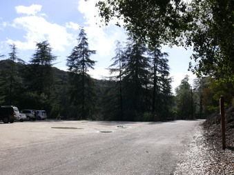Enlarge photo 48