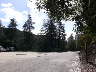 Enlarge photo 49