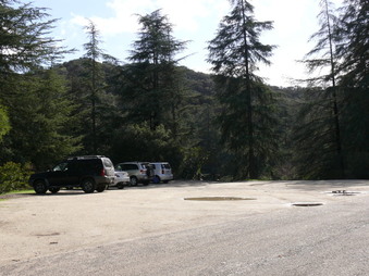 Enlarge photo 50