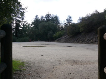 Enlarge photo 53