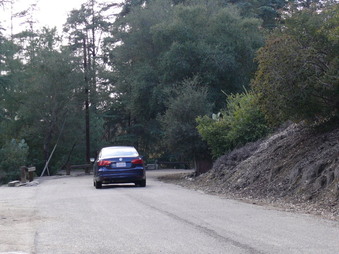 Enlarge photo 59