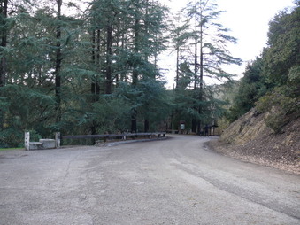 Enlarge photo 64