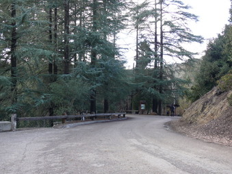 Enlarge photo 65
