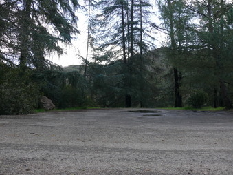 Enlarge photo 67