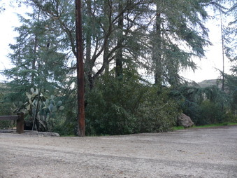 Enlarge photo 70