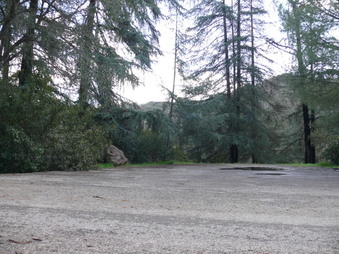 Enlarge photo 71