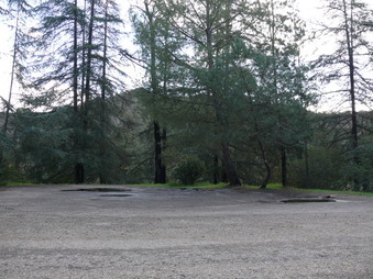 Enlarge photo 72