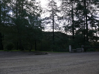 Enlarge photo 73