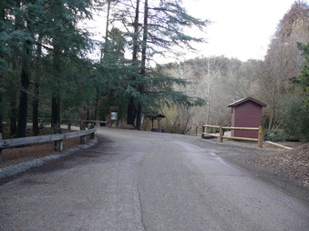 Enlarge photo 74