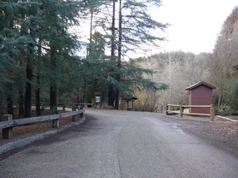 Enlarge photo 75