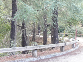 Enlarge photo 77