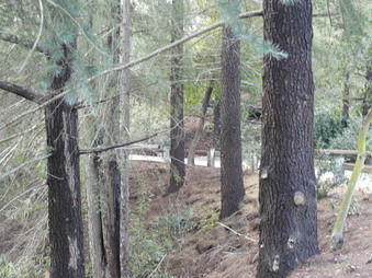 Enlarge photo 78