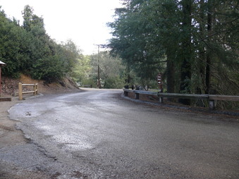 Enlarge photo 83