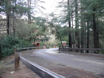 Enlarge photo 85