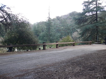 Enlarge photo 91