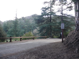 Enlarge photo 92