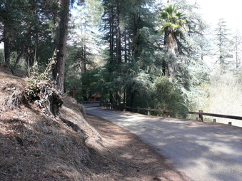 Enlarge photo 93