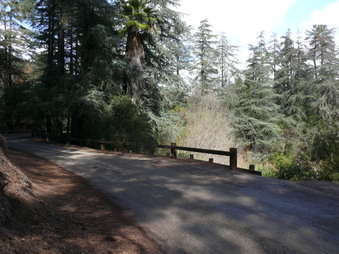 Enlarge photo 94