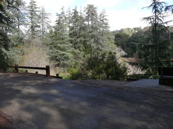 Enlarge photo 95