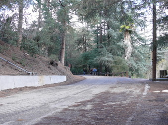 Enlarge photo 102