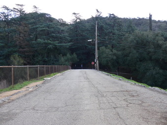 Enlarge photo 103