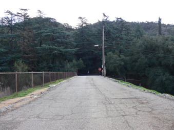 Enlarge photo 104