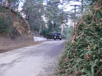 Enlarge photo 107