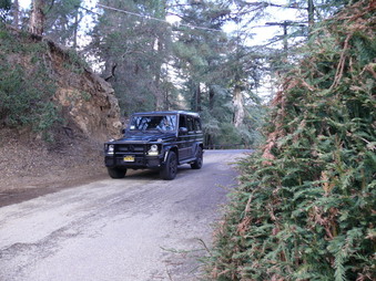 Enlarge photo 109