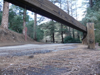 Enlarge photo 110