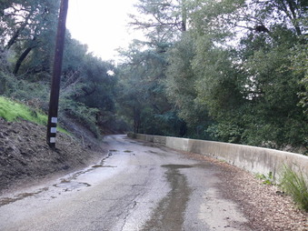 Enlarge photo 114
