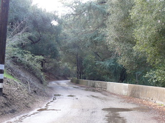 Enlarge photo 115
