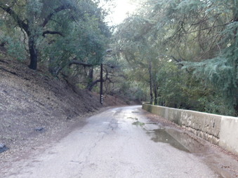 Enlarge photo 116