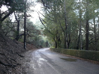 Enlarge photo 117