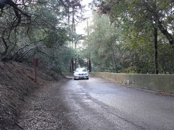 Enlarge photo 119