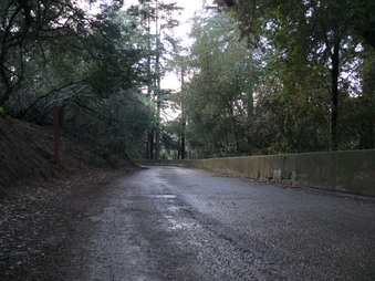 Enlarge photo 120