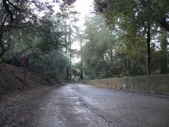 Enlarge photo 123