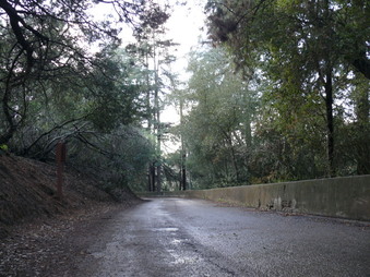 Enlarge photo 122