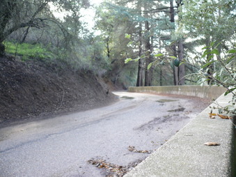 Enlarge photo 125