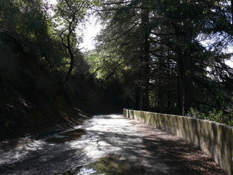 Enlarge photo 127