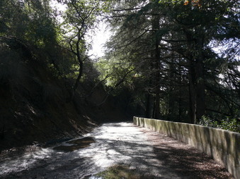Enlarge photo 128