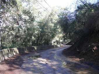 Enlarge photo 129