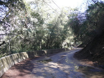 Enlarge photo 130