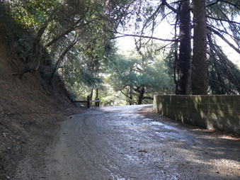 Enlarge photo 131