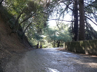 Enlarge photo 132
