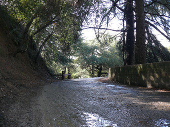 Enlarge photo 133