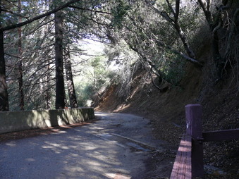 Enlarge photo 134